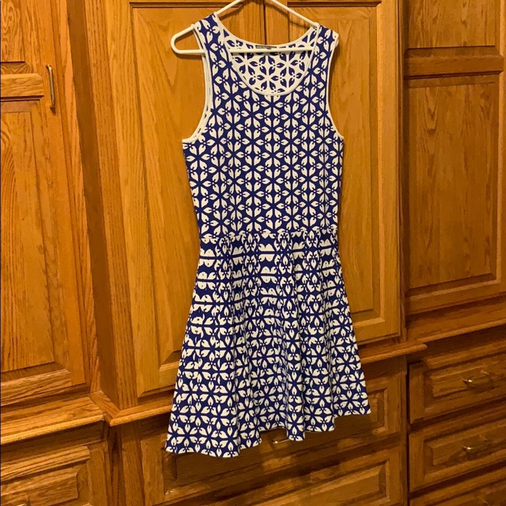 Blue & White Brixon Ivy Rayon Dress